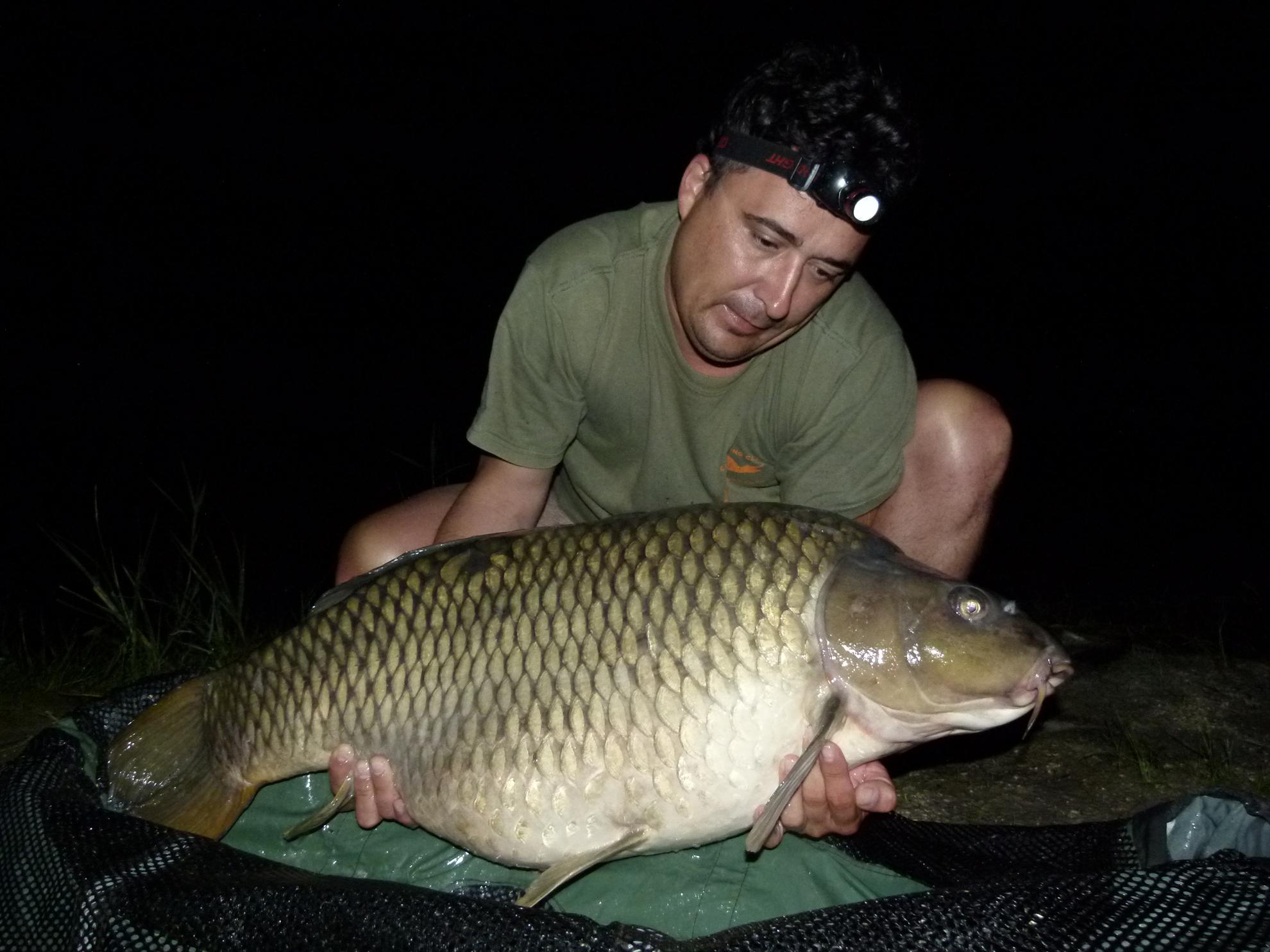 PDB 2013 - 21,500 kg